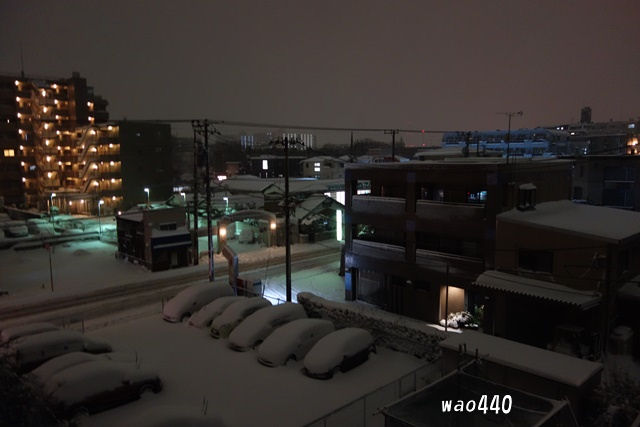 雪（２０１４．２．８～９）_e0185525_2141362.jpg