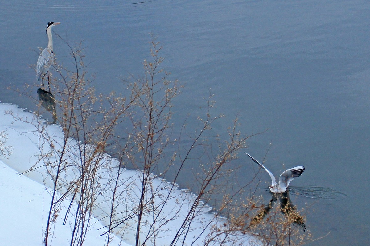 c0104227_16484497.jpg