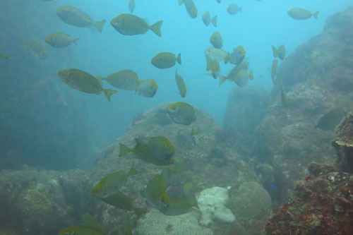2014年2月10日(月・曇り)甲浦_d0164831_1701649.jpg