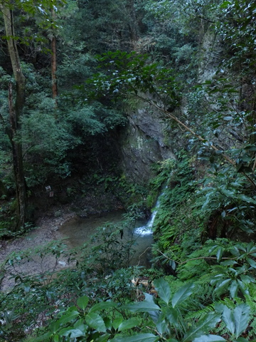 冬の奥武蔵低山歩き(日和田山〜物見山)〜12月22日(日)〜その②_b0281732_19142365.jpg