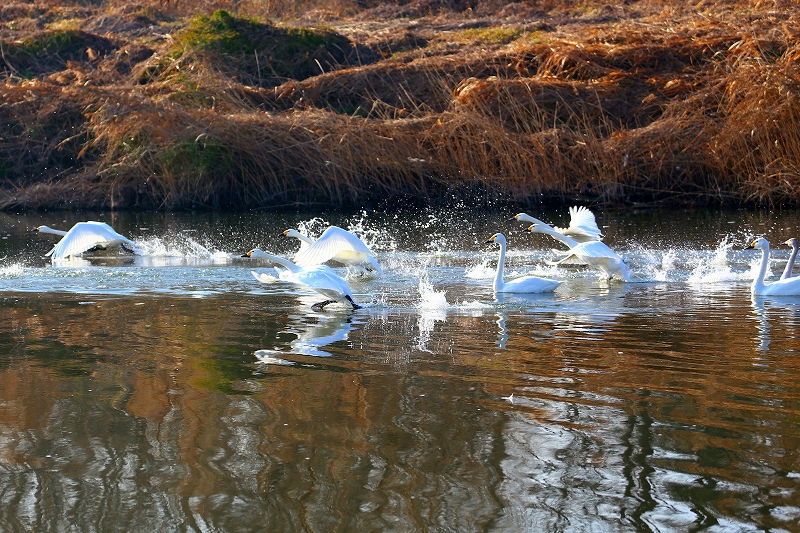 f0229832_1003539.jpg