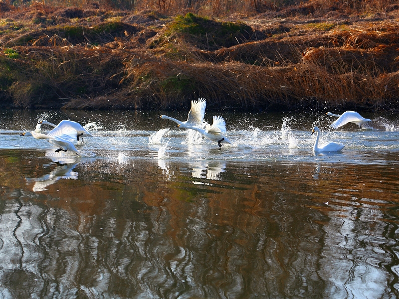 f0229832_1012527.jpg