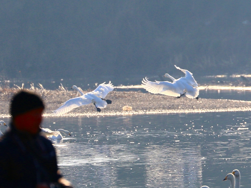 f0229832_10163590.jpg