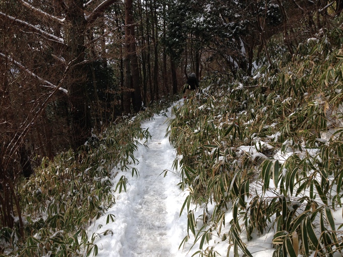 まさかの？？雪山ハイク！！_c0237233_16574569.jpg