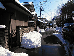 2014年2月10日（月）：深雪の仙元山_b0032437_18432670.jpg