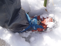 2014年2月10日（月）：深雪の仙元山_b0032437_18454512.jpg