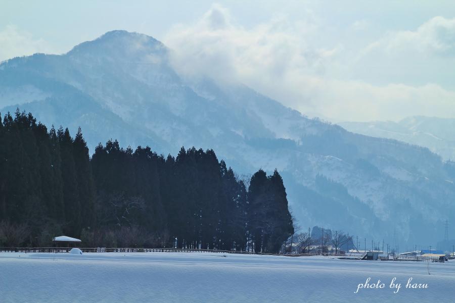 寒の滝_f0297537_16294645.jpg