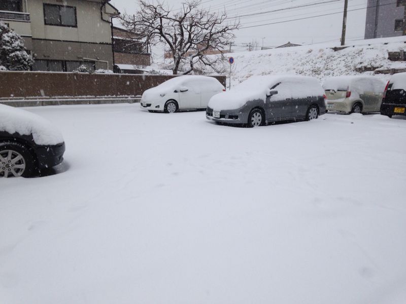 2月8日(土)大雪~ご来店♪_b0206845_1481416.jpg