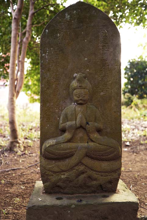 鳥見神社の庚申　　　　　　　　　　　　　　　　　千葉県・白井市_d0149245_22311849.jpg