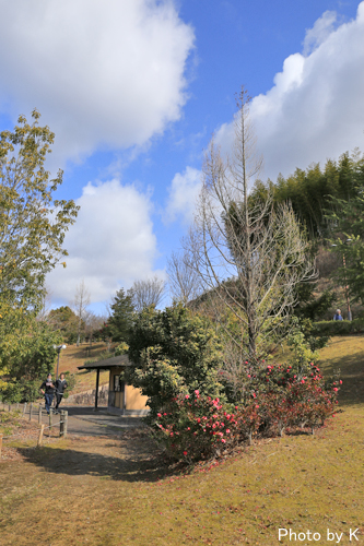 c0127748_17201762.jpg