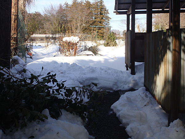 c0194163_15275954.jpg