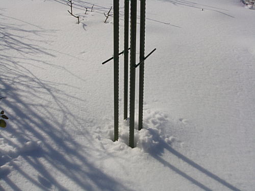 c0194163_15291071.jpg
