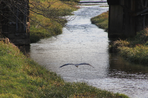 玉造温泉街へ・・_d0202264_5405790.jpg