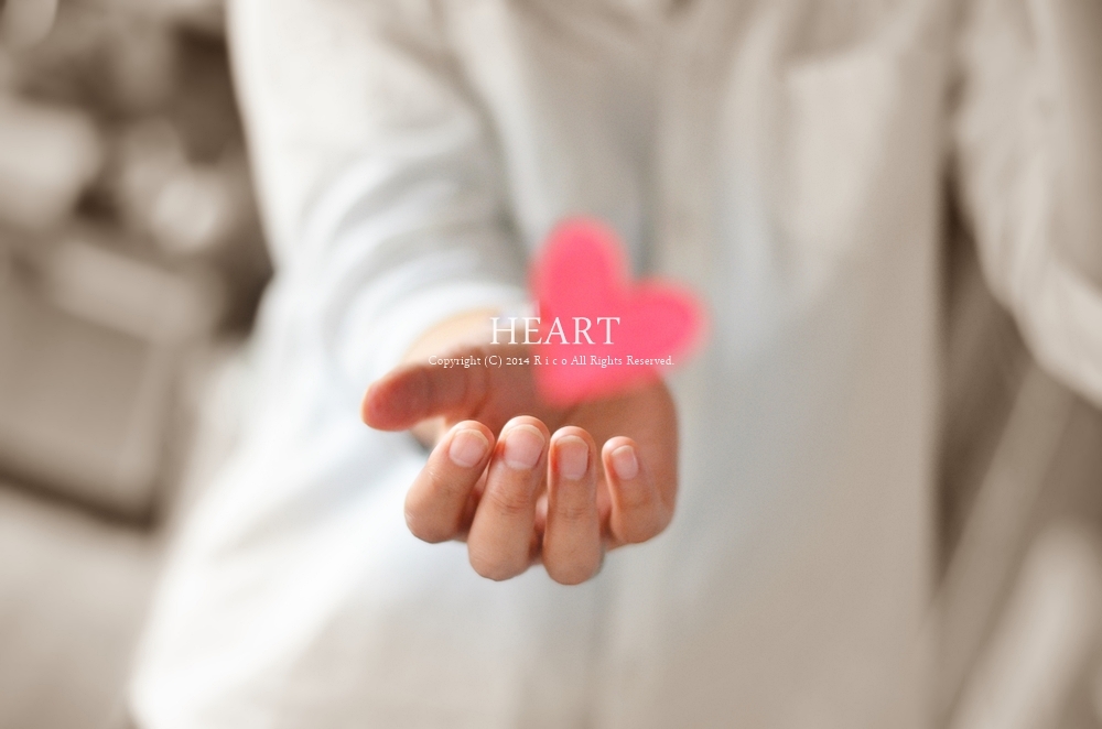 ハート祭り♪2.14 Heart festival ♪ START ♪_f0300369_18020159.jpg