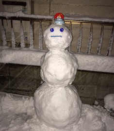 雪かきのち、タイガーバーム_c0135971_18164732.jpg