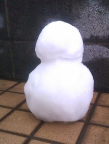 昨日は大雪、今日は快晴_b0273973_151292.jpg
