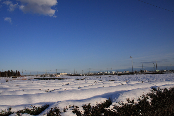 雪景色を撮るはずでした_d0225575_06896.jpg