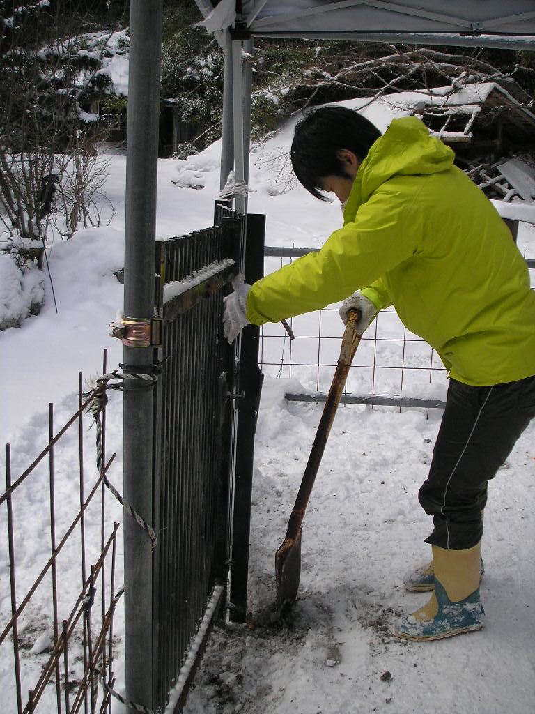 飯舘村day1　2014/2/5_b0192980_222362.jpg