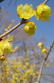 c0229483_23461298.jpg