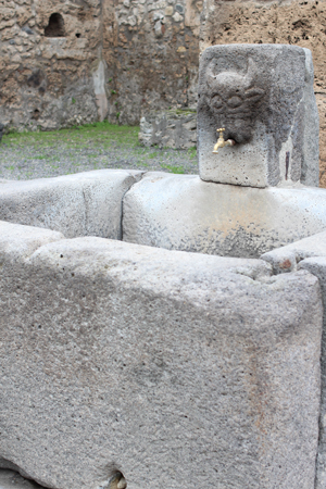 犬と巡るポンペイ遺跡 がびあーの家の毎日