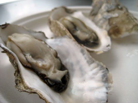 d0316387_12272093.jpg