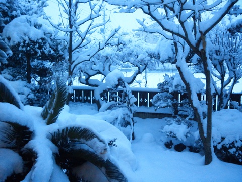 なんと大雪_c0066693_9113970.jpg