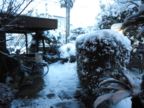 なんと大雪_c0066693_9125374.jpg