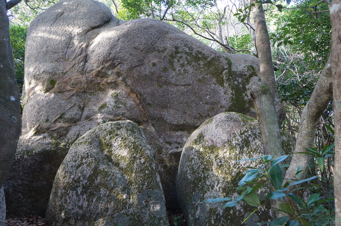 e0241093_8584725.jpg