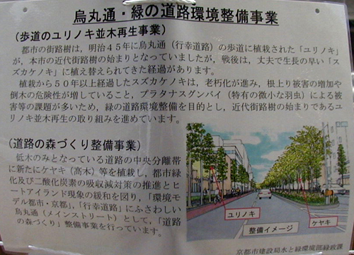 ●変わる木_d0053294_18136.jpg
