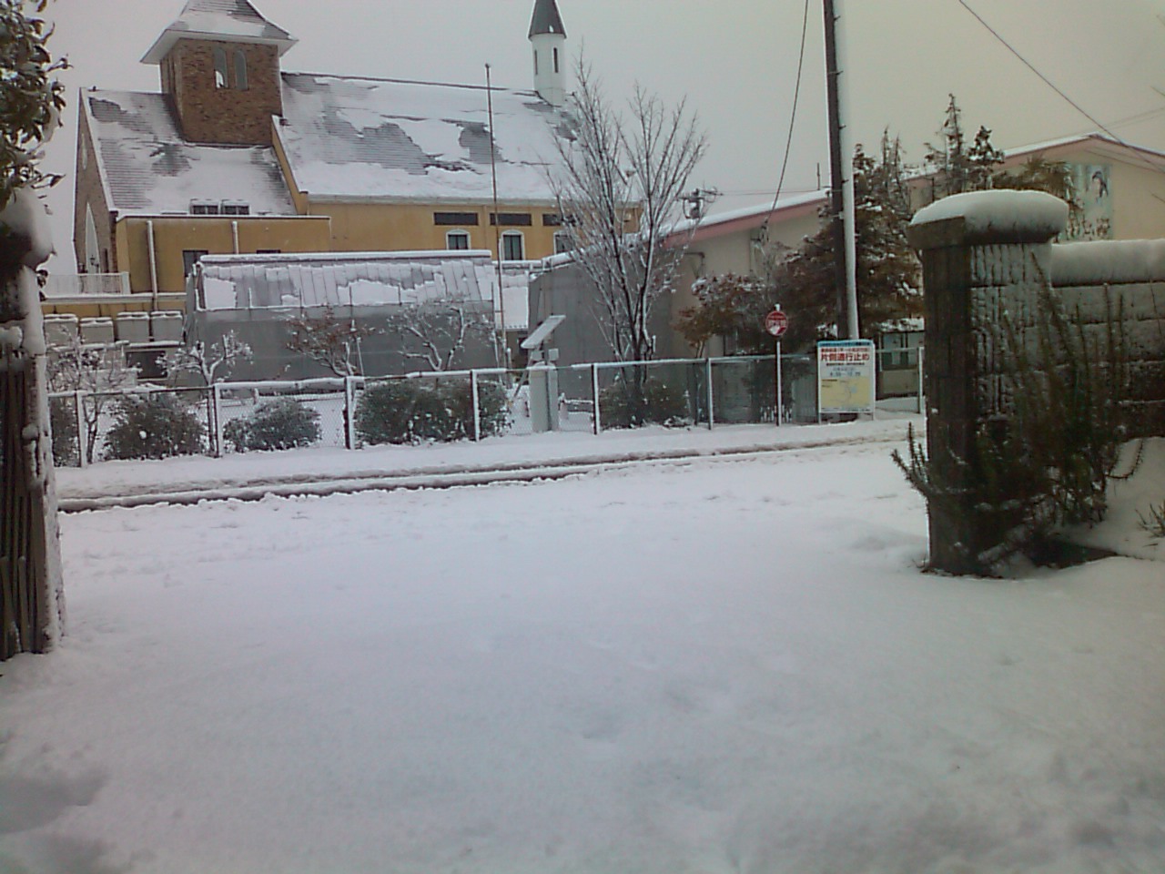 大雪あけて_e0068696_2061630.jpg