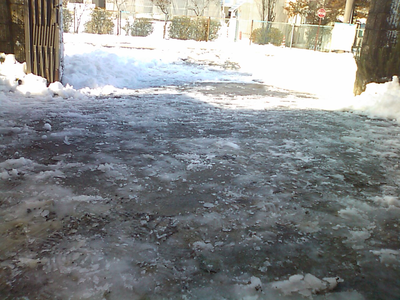 大雪あけて_e0068696_206584.jpg