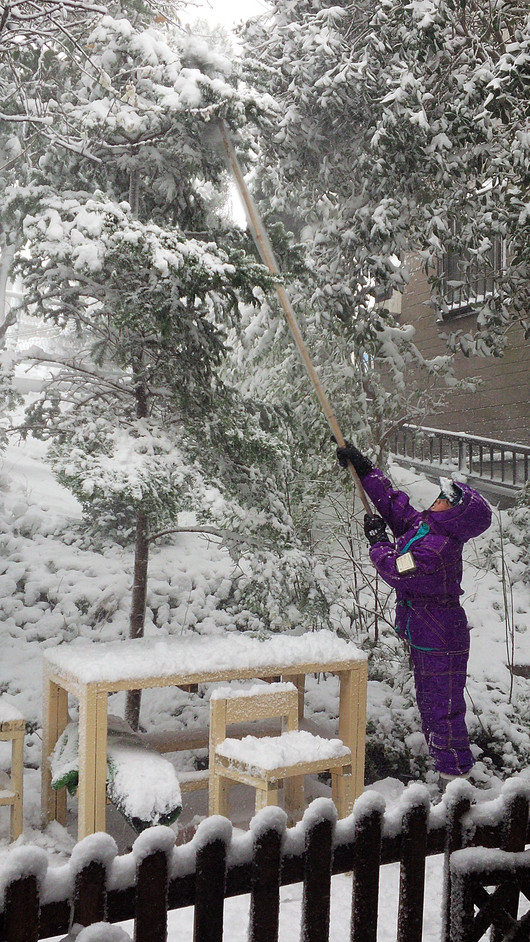 雪の日いろいろ_b0171098_9464861.jpg