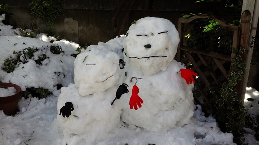 雪の日いろいろ_b0171098_950999.jpg