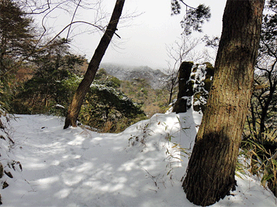 b0108100_15364599.gif
