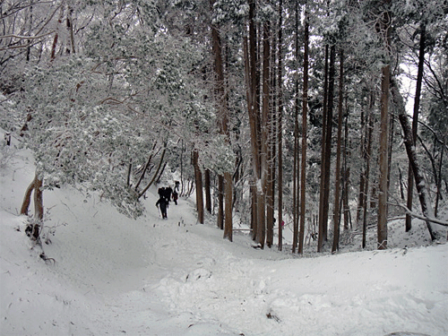 b0108100_16113462.gif