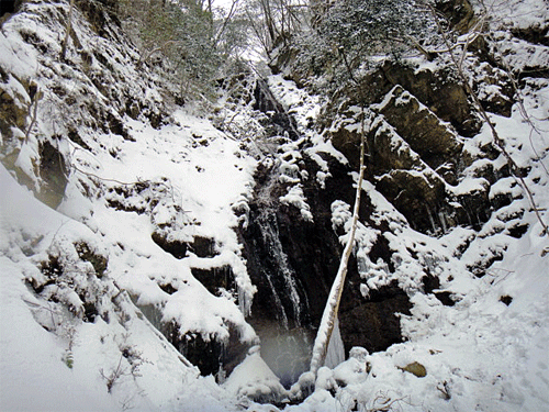 b0108100_1623143.gif