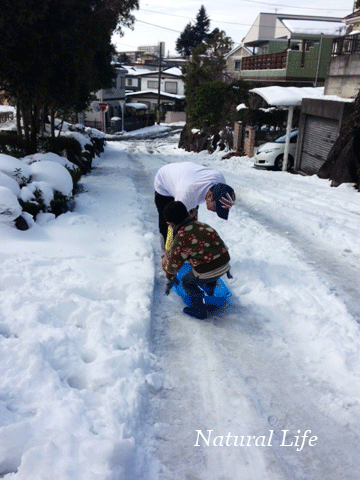 b0162000_614253.gif