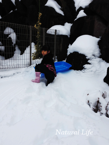 b0162000_69254.gif