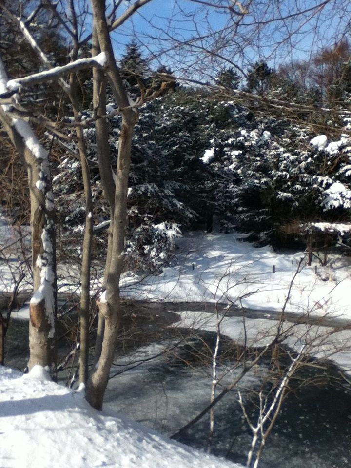 e0322201_11411980.jpg