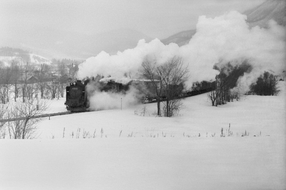 今朝も雪が、、、_b0221605_857771.jpg