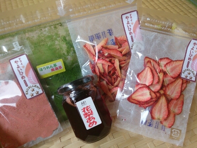 「群馬から届いたプレゼント！！」_e0252905_8322018.jpg