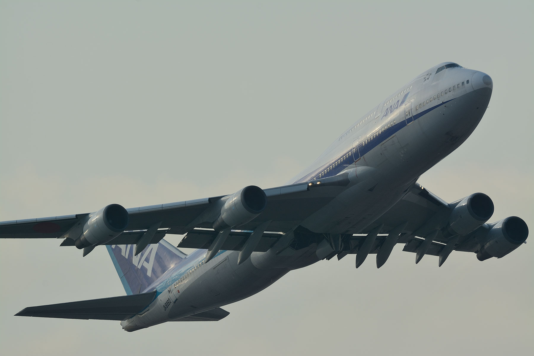 BOEING 747-400D / JA8960 : SKY LOUNGE GARDEN -transporter side- BOEING 747-400D / JA8960 : SKY LOUNGE GARDEN -transporter side-