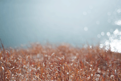 f0251613_23434951.gif