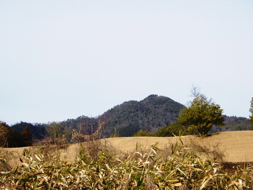 天王山 (537.8M) ～ 誕生山 (501.7M) 縦走する　　登頂 　下山 編_d0170615_17362192.jpg