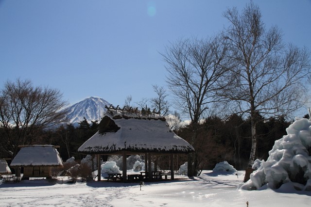 野鳥の森公園_d0026817_20315215.jpg