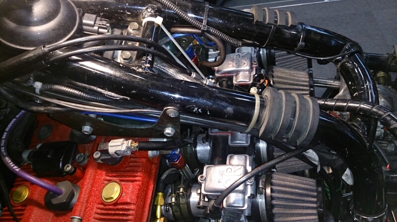 a0001020_1555279.jpg
