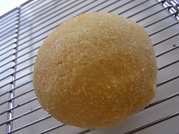 d0184326_15504288.jpg