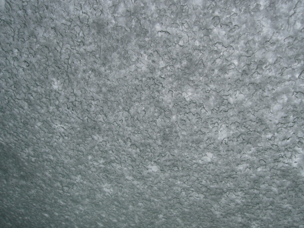 e0147226_1531407.jpg