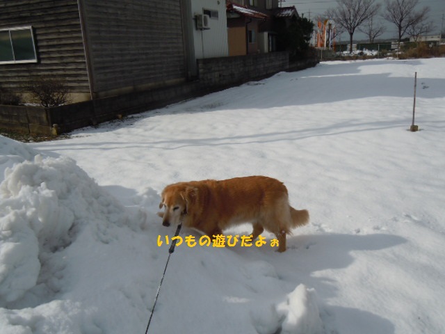 f0114128_11165433.jpg