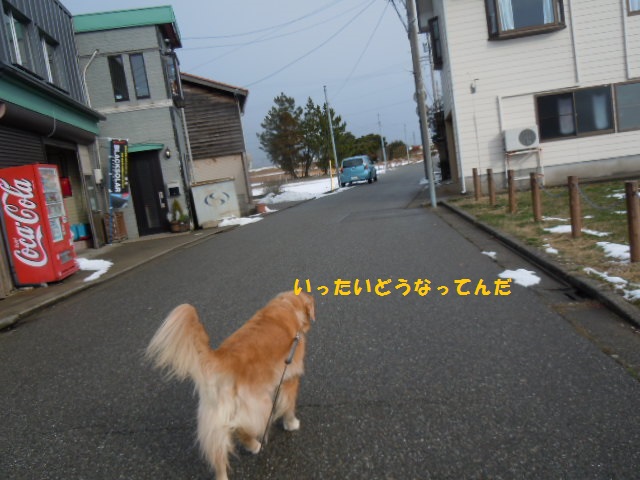 f0114128_1174020.jpg